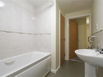 Picture 12